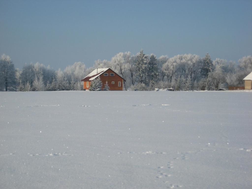 Лоджи Domki nad Jeziorem Райгруд-64